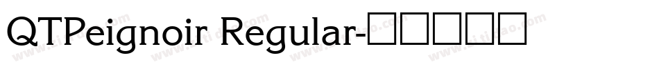 QTPeignoir Regular字体转换